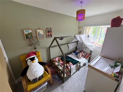 Picture 14